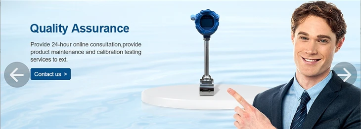 Intelligent Flowmeter